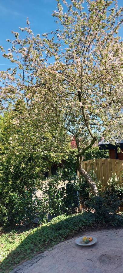 Natuur, Comfort, Rust, Mooie Omgeving Putten Dış mekan fotoğraf